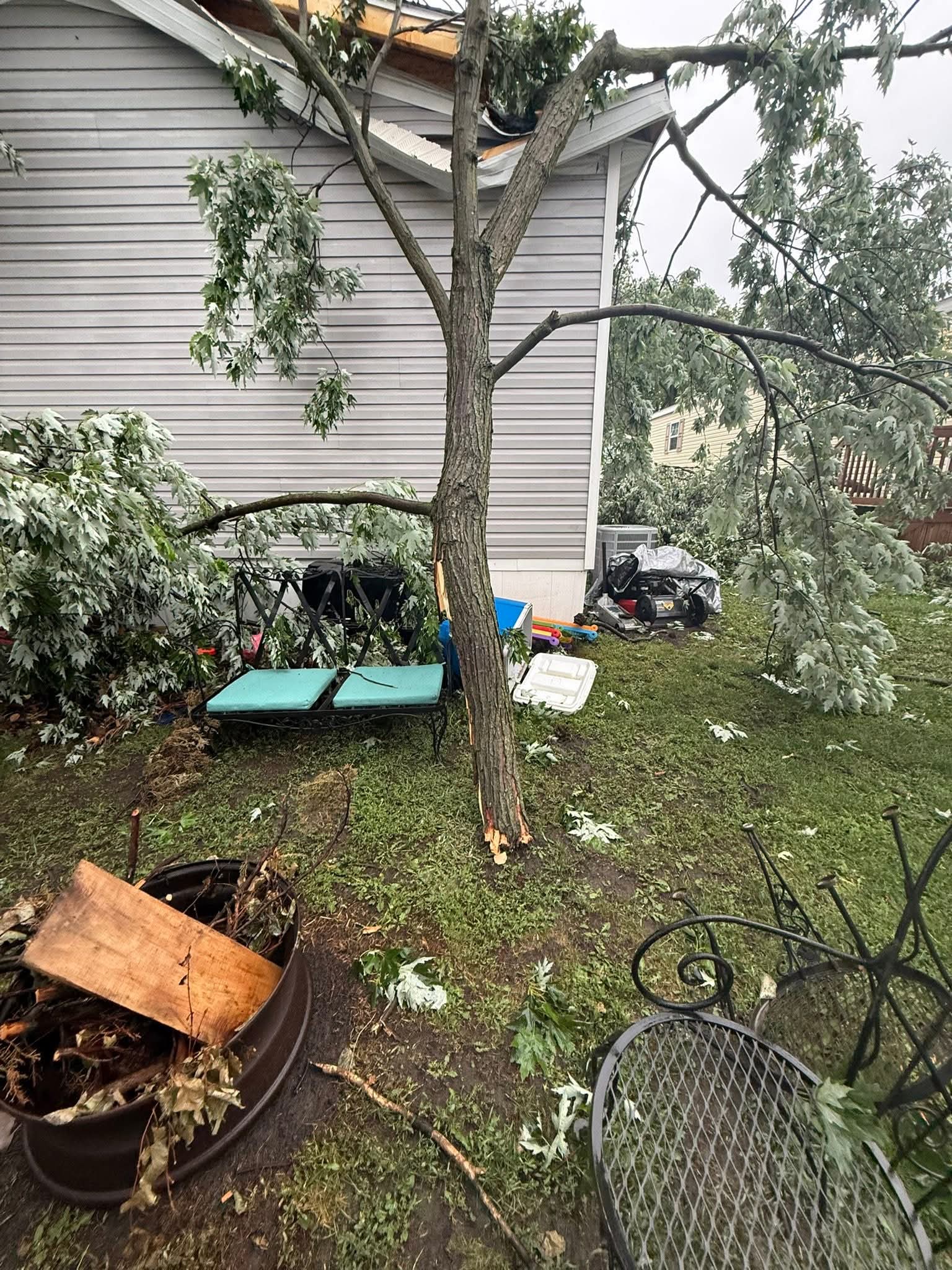 Emergency Wind Cleanup