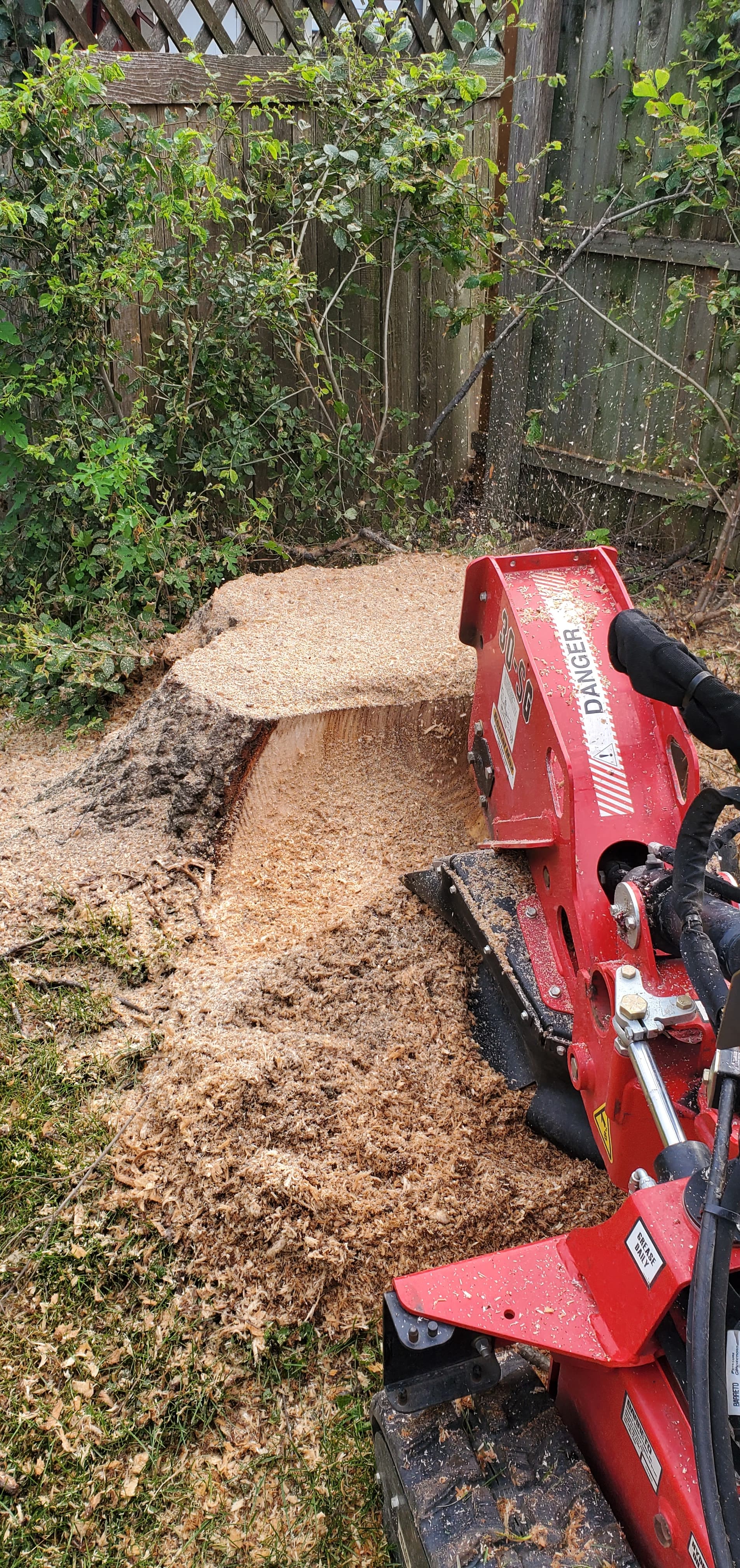 Stump Grinding